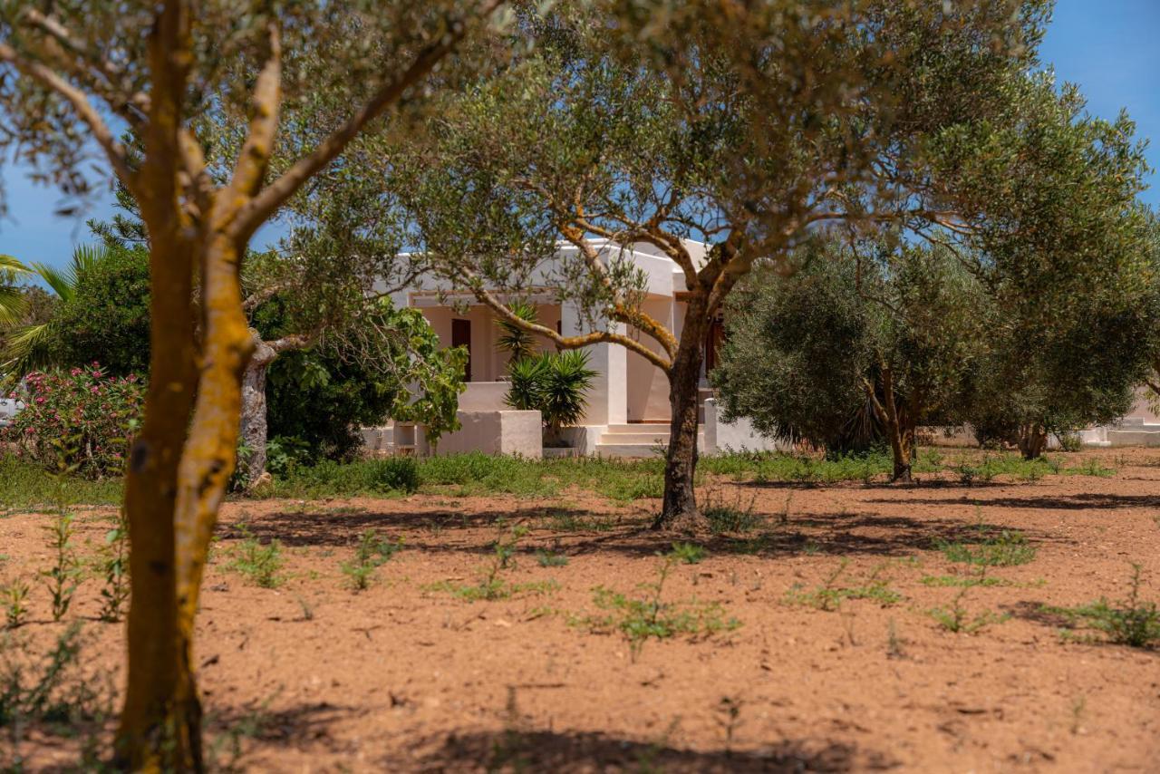 Siamoformentera Villa Beatrice Playa Migjorn Dış mekan fotoğraf